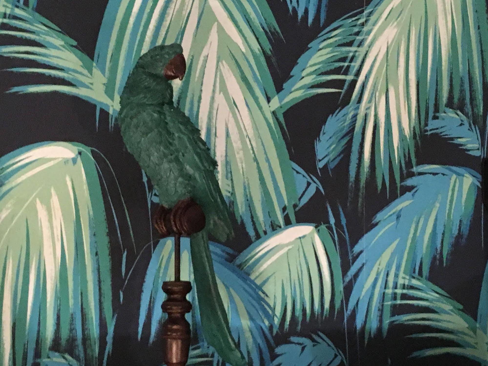 Hotel Alnea Cannes Zewnętrze zdjęcie